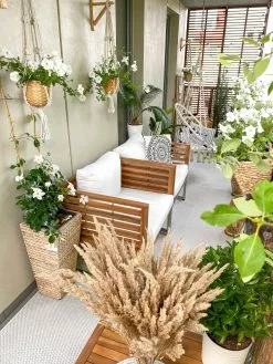 Beliani 4-istuttava Ulkosohvaryhmä Akasiapuu Valkoinen BERMUDA -Ulkokalusteet myymälä undef src sa picid 828674 type whitesh image